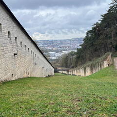 25-03-24 12-14-41 2620